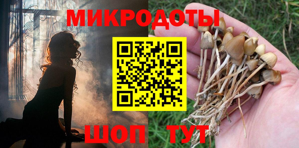Псилоцибиновые грибы Psilocybe  Вход с VPN  Чебоксары  Псилоцибиновые грибы GOLDEN TEACHER 